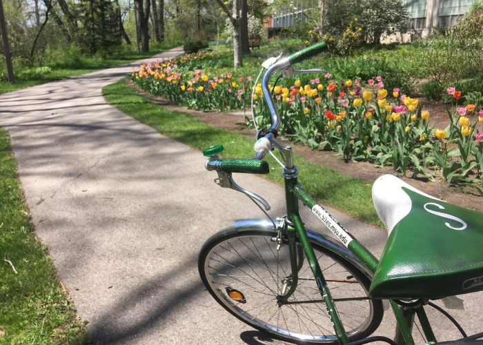 Photo of a green and white bike on MSU's campus next to a flower garden.